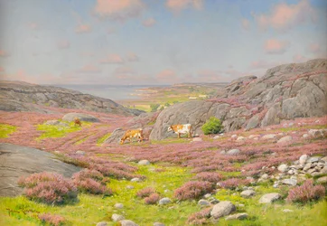 Scène van de noordkust van Halland